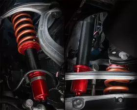 Novel Adjustable Coilovers w/ Swift Spring Lexus GS-F 2015+