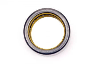 Pilot and Throwout Bearings