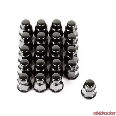 Rugged Ridge Wheel Lug Nut, Set of 20, 1/2-20, Black - 16715.23
