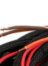 MSD Main Harness Replacement for Part Number 7766                                     - 2266 - Image 4
