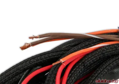 MSD Main Harness Replacement for Part Number 7766 - 2266