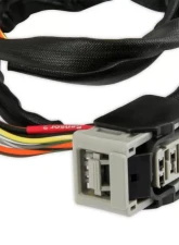 MSD Sensor 2, Replacement Harness for Part Number 7766                                     - 2275 - Image 2