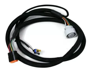 MSD Harness, GM 4L70 (2009-up)