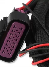 MSD DIS Direct Ignition System Control Box - Black                                     - 60153MSD - Image 6