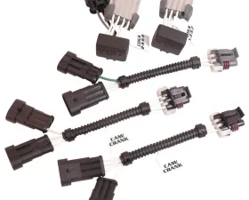 MSD LS2 EFI to 6012 w/58 Tooth Harness