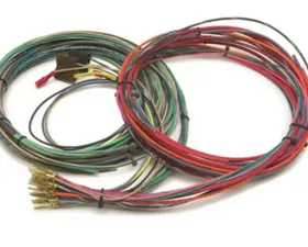 Painless Wiring Engine Harness only for 20101 w/o bulkhead connector-10 Circuits