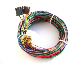 Painless Wiring Engine Harness only for 20102 w/o bulkhead connector-11 Circuits