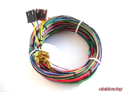 Painless Wiring Engine Harness only for 20102 w/o bulkhead connector-11 Circuits - 21001