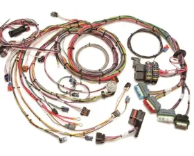 Painless Wiring 1996-1999 GM Vortec 4.3L V6 (CMFI) Harness Extra. Length
