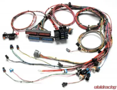 Painless Wiring 1998-2004 GM LS1/LS6 EFI Harness - Mechanical TB - 60508