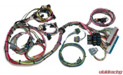 Painless Wiring 1997-2004 GM LS1 EFI Harness - Throttle by Wire - 60522