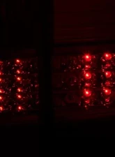 Anzo USA Tail Light Assembly Toyota Land Cruiser 1998-2005                                     - 311094 - Image 3