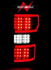 Anzo USA Tail Light Assembly Ford Raptor 2018                                     - 311314 - Image 6