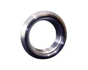 PWR Fitting Bung -20 Port