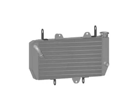 PWR EFI Radiator Yamaha YFZ450R 2009+