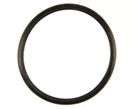 Fel-Pro Thermostat Gasket