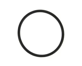 Fel-Pro Thermostat Gasket