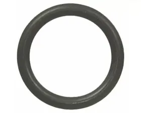 Fel-Pro O-Ring