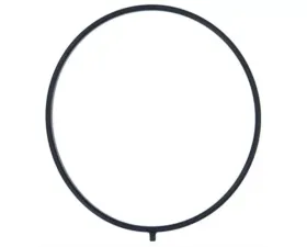 Fel-Pro Throttle Body Gasket