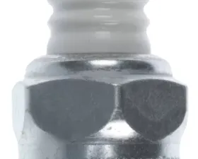 Champion Spark Plug Champion Indust. / Agri Plugs- Boxed - D15Y