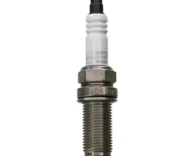 Champion Spark Plug Champion Double Platinum - Boxed Porsche