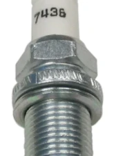 Champion Spark Plug Champion Double Platinum - Boxed - RC10PLPB4                                     - 7436 - Image 2