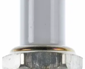 Champion Spark Plug Champion Copper Plus Small Engine- Boxed - RDZ4H