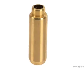 Canyon Engine Engine Valve Guide BMW