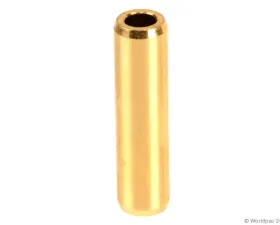 Canyon Engine Engine Valve Guide BMW
