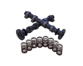 Sparks Racing Stage 1 Camshaft & Valve Spring Set Polaris RZR XP 4 900 12-13
