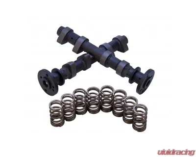 Sparks Racing Stage 1 Camshaft & Valve Spring Set Polaris RZR XP 4 900 12-13 - CAMP11900XP-S1-CS