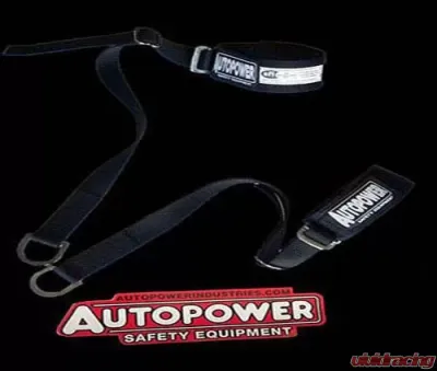 AutoPower Arm Restraints - 201601