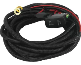 DragonFire Racing Light Whip Harness; 2-Seat; Dual