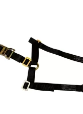 DragonFire Spare Tire Strap                                     - 04-0823 - Image 2