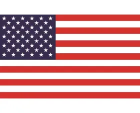 DragonFire Whip Flag American Flag (Double Sided) 24x14