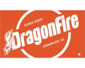 DragonFire Whip Flags 24 inchx14 Inch DFR Orange