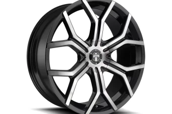 Royalty S209