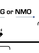 Rugged Radios Universal NMO/MAG Antenna Mount                                     - UNI-MAG - Image 8