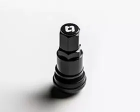 Titan 7 Black Valve Stem