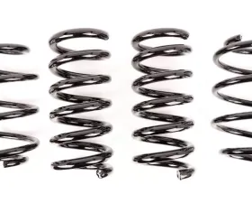 Aldan American AXS Lowering Springs - Black Ford