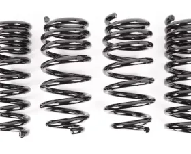 Aldan American Lowering Springs, AXS Kit. Front and Rear. Dodge, Set of 4. Black. Dodge Challenger 2008-2018