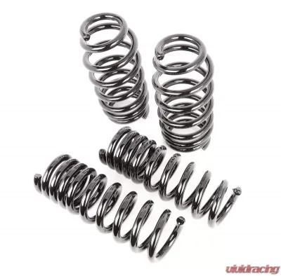 Aldan American Lowering Springs, AXS Kit. Front and Rear. Dodge, Set of 4. Black. Dodge Challenger 2008-2018 - 500101