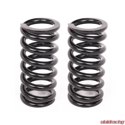 Aldan American Coil-Over-Spring, 300 lbs./in. Rate, 8 in. Length, 2.5 in. I.D. Black, Pair - 8-300BK2