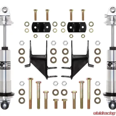 Aldan American Coil-Over Kit, Buick, Chevy, Olds, Pontiac, Rear, Single Adj. Buick Sportwagon 1964-1972 - ABRNS