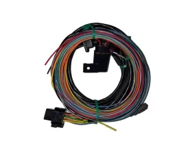 Racepak HARNESS IQ3D DRAG DASH