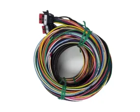Racepak HARNESS SMARTWIRE STREET