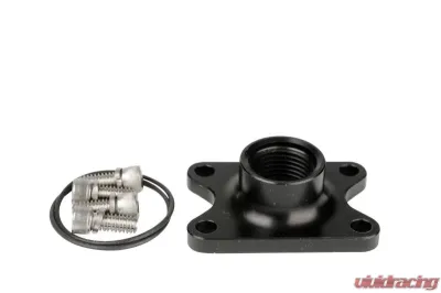 Aeromotive Fuel System Outlet, Spur Gear Pump, AN-10 Port - 11733