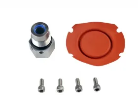 Aeromotive Fuel System Regulator Repair Kit 13203