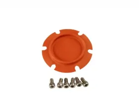 Aeromotive Fuel System Regulator Repair Kit 13208, 13210