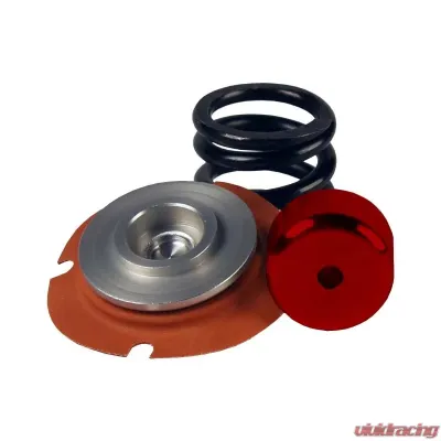 Aeromotive Fuel System Rebuild Kit, Regulator,13303, 35-75psi, .188 Valve - 13013